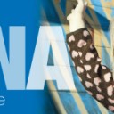 Solna Haga – Sveriges bästa skyltningsyta